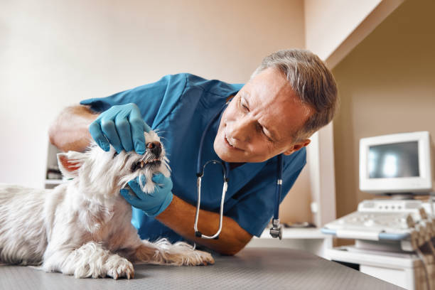 Best Emergency Tooth Extraction in Eglin Af, FL